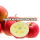 Supply best quality cheap apple fruit